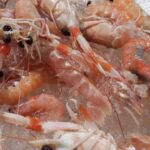 Emperador y gamba pelada